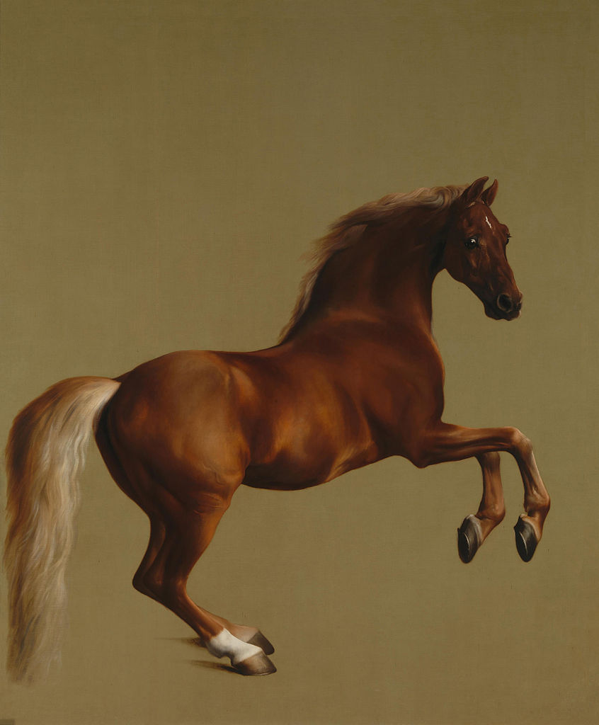 Whistlejacket, 1762, George Stubbs