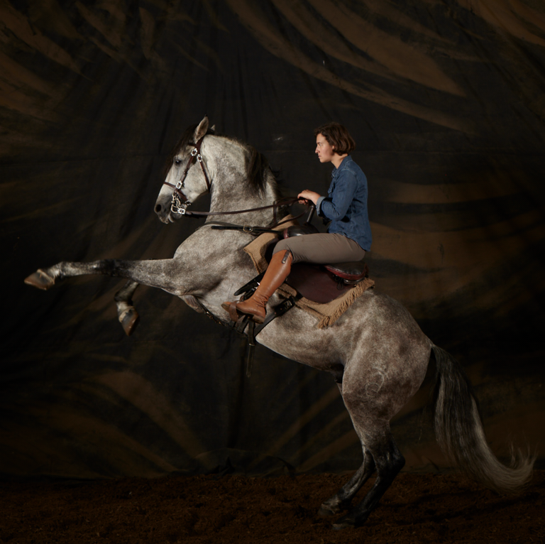 The Game of Thrones Horsemaster, Camilla Naprous, exercises Moses, 2019, photo by Anastasia Taylor-Lind