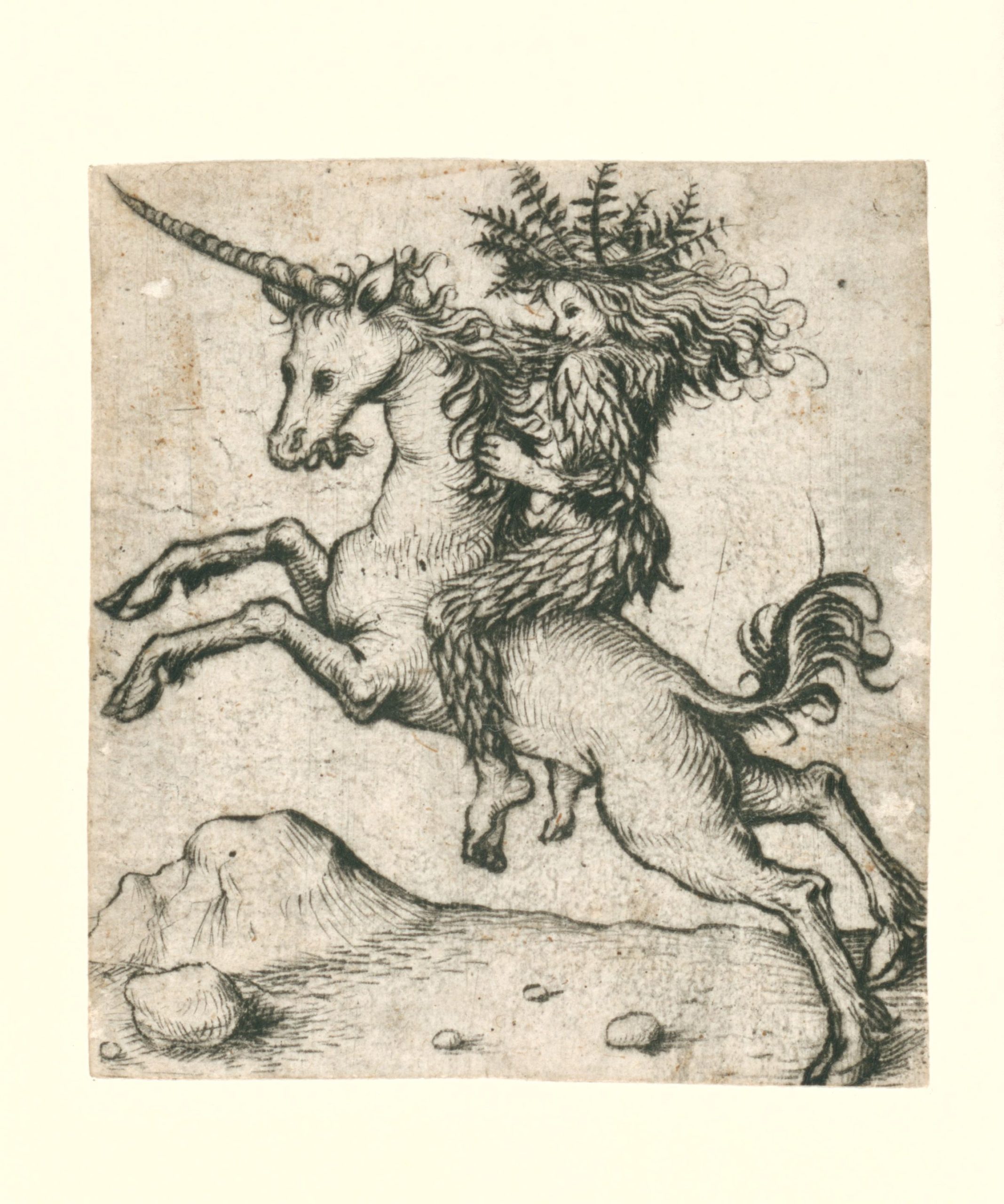 COMPARANDUM: Wild woman on a unicorn, 1473 - 1477, Master of the Amsterdam Cabinet, Germany