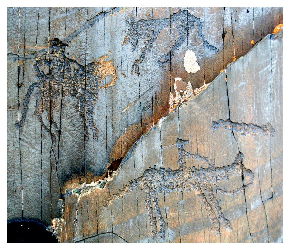 Two horsemen with a wolf, 300 BC-1, presumed early Bronze Age (3, 500 BC), Kulzhabasy, Kazakhstan